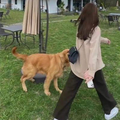 蓝调之歌